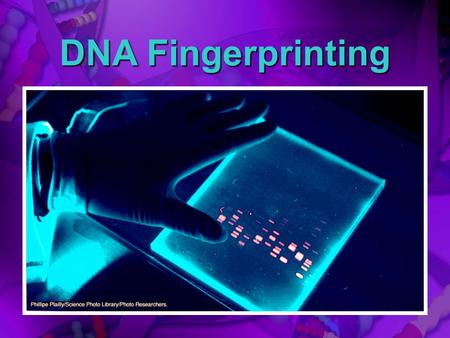 DNA Fingerprinting.