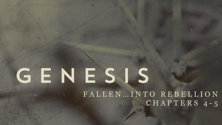 FALLEN…INTO REBELLION CHAPTERS 4-5. violence against the seed Hebrews 11:4 By faith Abel offered to God a more acceptable sacrifice than Cain, through.