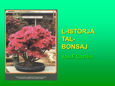 L-ISTORJA TAL- BONSAJ Jos.F.Cachia. The Legend of the Carbayon.