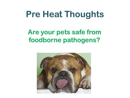 Pre Heat Thoughts Are your pets safe from foodborne pathogens?