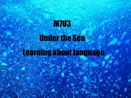 M7U3 Under the Sea Learning about language. Old Tom helped______________________. Old Tom p_________ and s____ a whaler. rotected the whalers to catch.