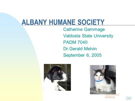 Foster Care or Adoptions ALBANY HUMANE SOCIETY Catherine Gammage Valdosta State University PADM 7040 Dr.Gerald Melvin September 6, 2005.