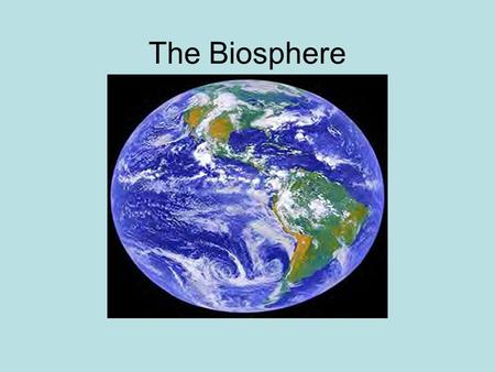 The Biosphere.