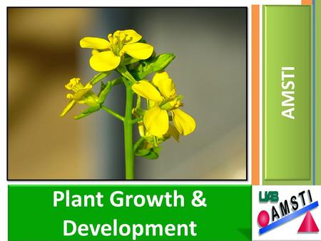 Plant Growth & Development