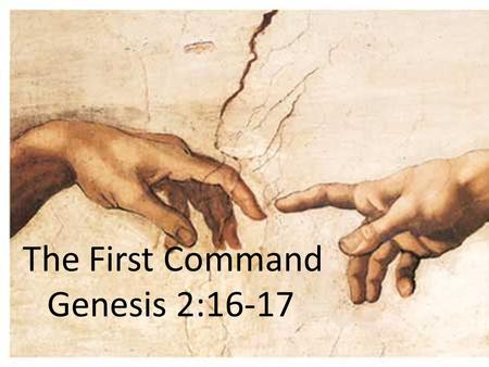 The First Command Genesis 2:16-17. The First Command What can we learn about The Lawgiver from the laws He gives? What are the characteristics of His.