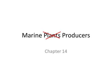 Marine Plants Producers