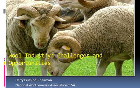 Harry Prinsloo: Chairman National Wool Growers’ Association of SA Wool Industry: Challenges and Opportunities.