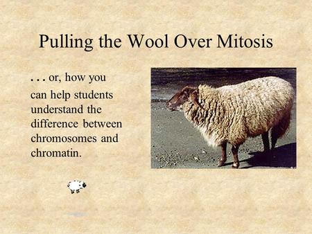 Pulling the Wool Over Mitosis... or, how you can help students understand the difference between chromosomes and chromatin.