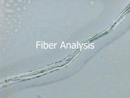 Introduction to Fibers