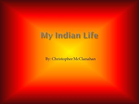 By: Christopher McClanahan. Hello I am an 11 year old Inca Boy. Here is what happened to me when I was held prisoner by the Spanish.