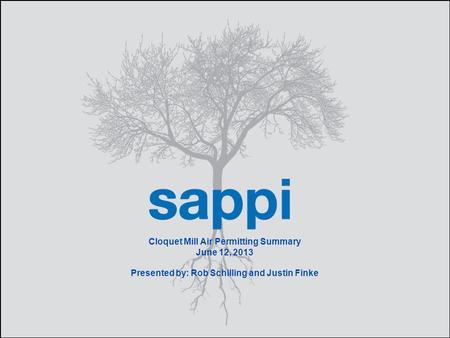 1 Cloquet Mill Air Permitting Summary June 12, 2013 Presented by: Rob Schilling and Justin Finke.