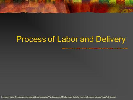 Process of Labor and Delivery Copyright © Notice: The materials are copyrighted © and trademarked ™ as the property of The Curriculum Center for Family.