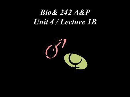 Bio& 242 A&P Unit 4 / Lecture 1B. Hormones Released from the Anterior Pituitary or Adenohypophysis Somatotrophs Human Growth Hormone (hGH) Hypothalamic.