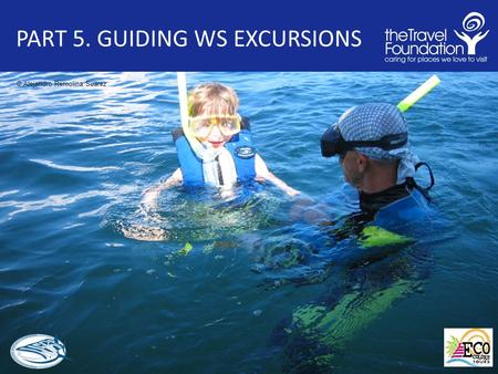 PART 5. GUIDING WS EXCURSIONS © Alejandro Remolina Suarez.