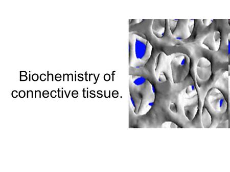 Biochemistry of connective tissue.