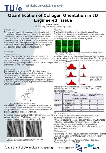 Results The algorithm is validated using artificial images of fibres. Statistical analysis showed no significant difference between the ground truth and.