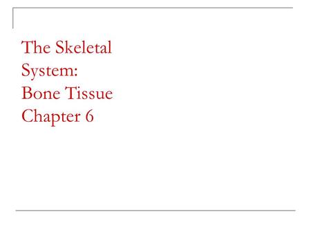 The Skeletal System: Bone Tissue Chapter 6