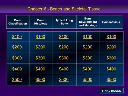 Chapter 6 - Bones and Skeletal Tissue