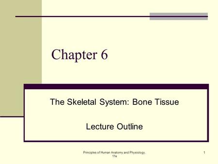 The Skeletal System: Bone Tissue Lecture Outline