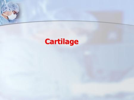 Cartilage.