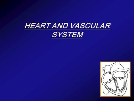 HEART AND VASCULAR SYSTEM. CAPILLARIES Function = exchange of gas, nutrients, metabolites, water Structure = Endothelium +pericyte + basement membrane.