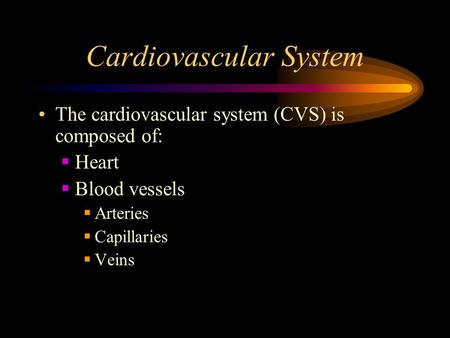 Cardiovascular System