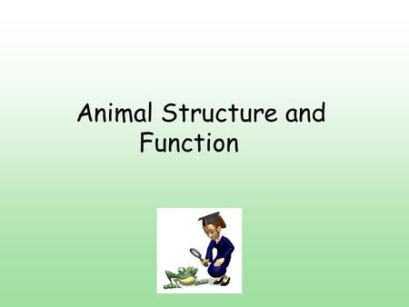 Animal Structure and Function. Functional Anatomy Animal adaptations evolved through time by natural selection. Can also adapt over short periods of time.