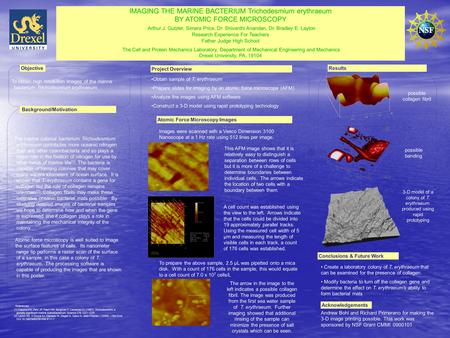 IMAGING THE MARINE BACTERIUM Trichodesmium erythraeum BY ATOMIC FORCE MICROSCOPY Arthur J. Gutzler, Simara Price, Dr. Shivanthi Anandan, Dr. Bradley E.