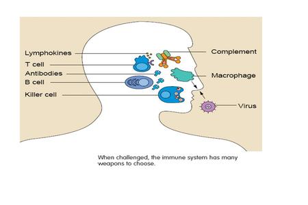 Complement Synthesis and attachment of specific antibody to invading microorganisms does not directly lead to destruction. It is a label that.