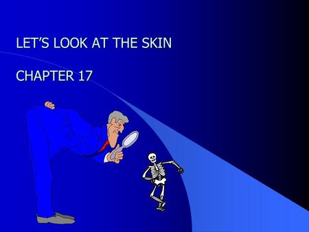 1 LET’S LOOK AT THE SKIN CHAPTER 17 2 OBJECTIVES Describe the structure & composition of the skin Describe the structure & composition of the skin.