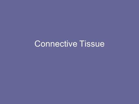 Connective Tissue.