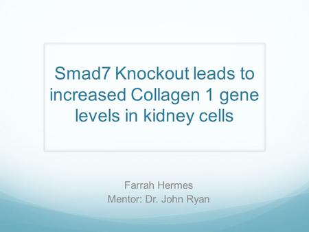 Smad7 Knockout leads to increased Collagen 1 gene levels in kidney cells Farrah Hermes Mentor: Dr. John Ryan.