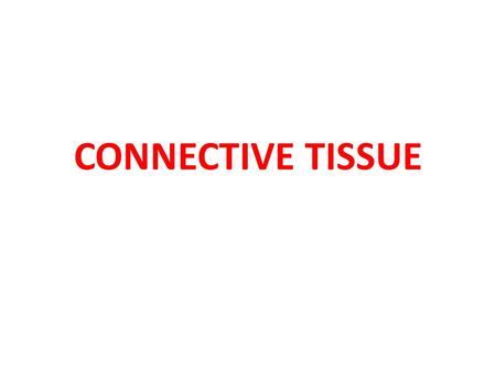 CONNECTIVE TISSUE.