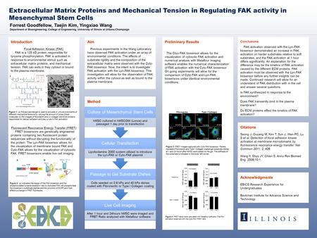 Forrest Goodfellow, Taejin Kim, Yingxiao Wang Department of Bioengineering, College of Engineering, University of Illinois at Urbana-Champaign Extracellular.