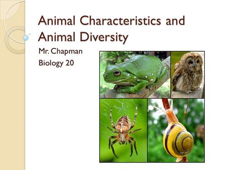 Animal Characteristics and Animal Diversity