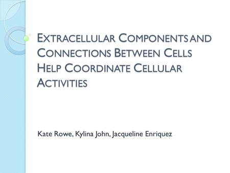 E XTRACELLULAR C OMPONENTS AND C ONNECTIONS B ETWEEN C ELLS H ELP C OORDINATE C ELLULAR A CTIVITIES Kate Rowe, Kylina John, Jacqueline Enriquez.