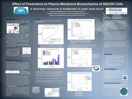 Introduction This study deals with the effects of cholesterol on human embryonic kidney (HEK293) cells’ plasma membrane mechanics using an optical tweezers.