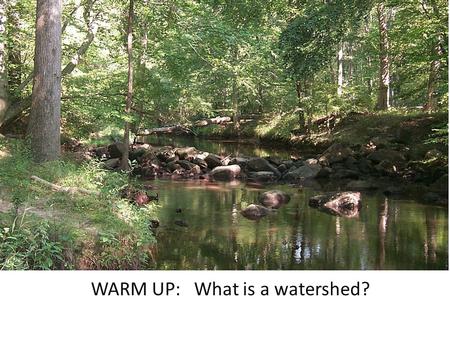 WARM UP: What is a watershed?. Watershed: The area of land that precipitation drains into a river system is known as a watershed. We live in the Chesapeake.