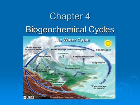 Biogeochemical Cycles