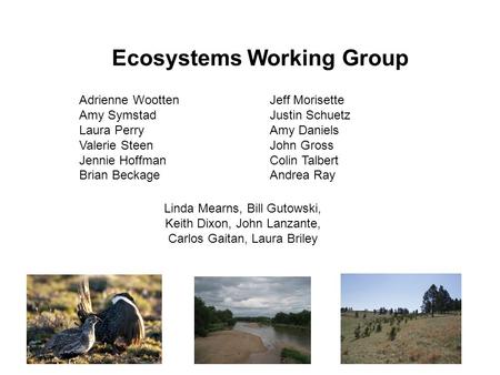 Ecosystems Working Group Adrienne Wootten Amy Symstad Laura Perry Valerie Steen Jennie Hoffman Brian Beckage Jeff Morisette Justin Schuetz Amy Daniels.