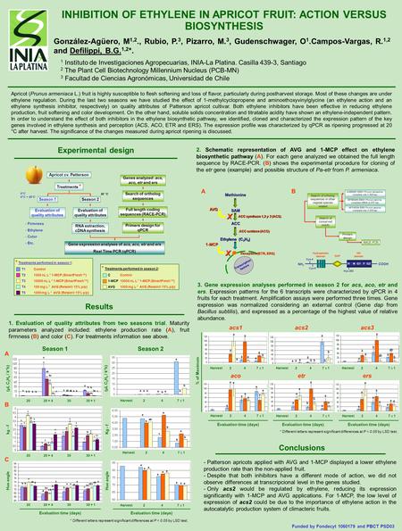 INHIBITION OF ETHYLENE IN APRICOT FRUIT: ACTION VERSUS BIOSYNTHESIS González-Agüero, M 1,2., Rubio, P. 3, Pizarro, M. 3, Gudenschwager, O 1.Campos-Vargas,