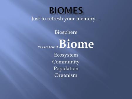 Just to refresh your memory… Biosphere You are here  Biome Ecosystem Community Population Organism.