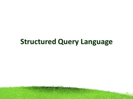 Structured Query Language