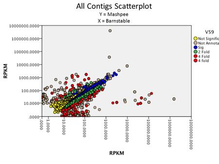 All Contigs Scatterplot Y = Mashpee X = Barnstable.