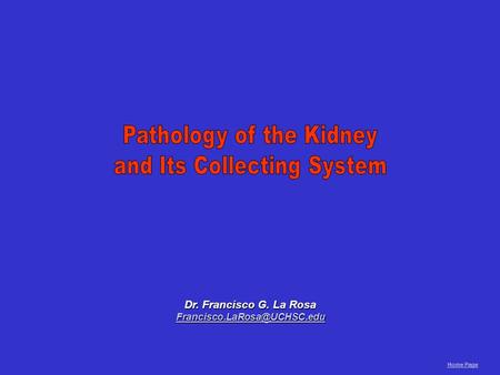 Pathology of the Kidney and Its Collecting System