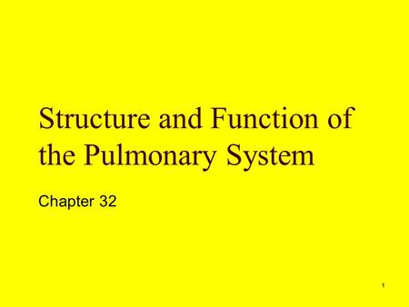 1 Structure and Function of the Pulmonary System Chapter 32.