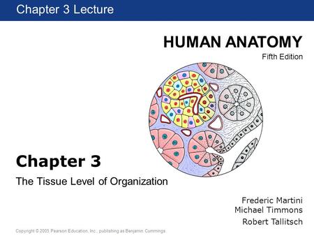 HUMAN ANATOMY Fifth Edition Chapter 1 Lecture Copyright © 2005 Pearson Education, Inc., publishing as Benjamin Cummings Chapter 3 Lecture Chapter 3 The.