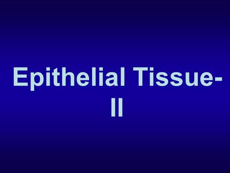 Epithelial Tissue-II.