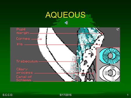 S.C.C.O. 5/17/20151 AQUEOUS S.C.C.O. 5/17/20152 AQUEOUS HUMOR LECTURE  Reading Assignment: Chapter 8, Adler's Physiology of the Eye.