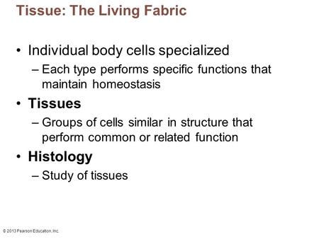 Tissue: The Living Fabric